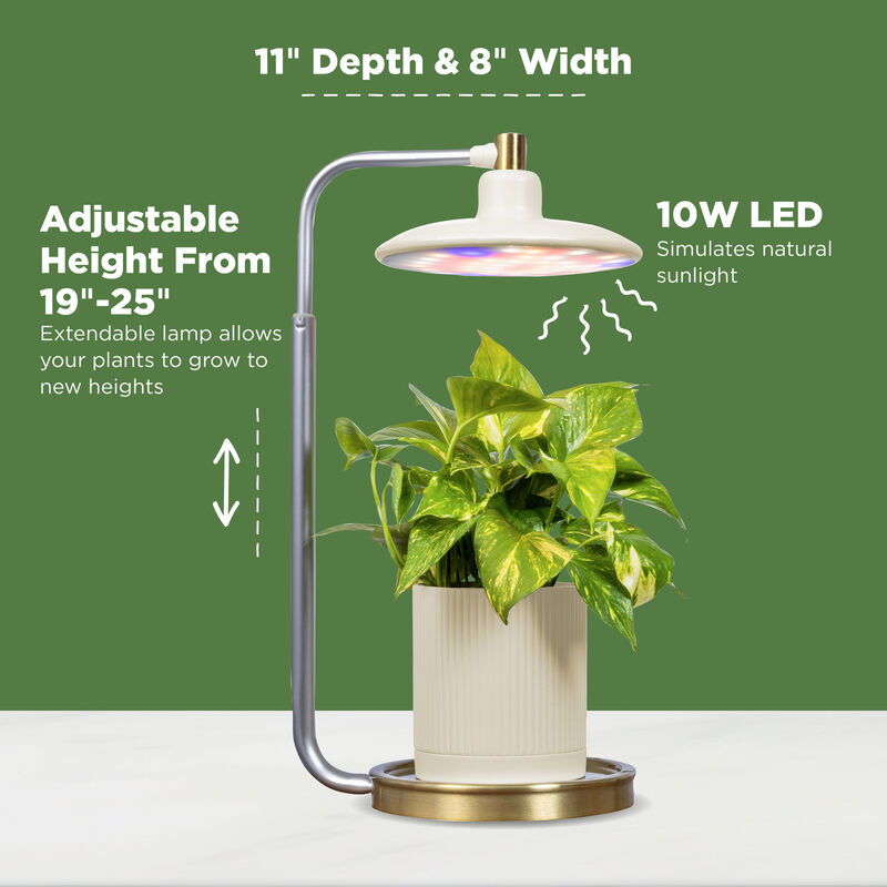 Tabletop Grow Light, Cream image number null